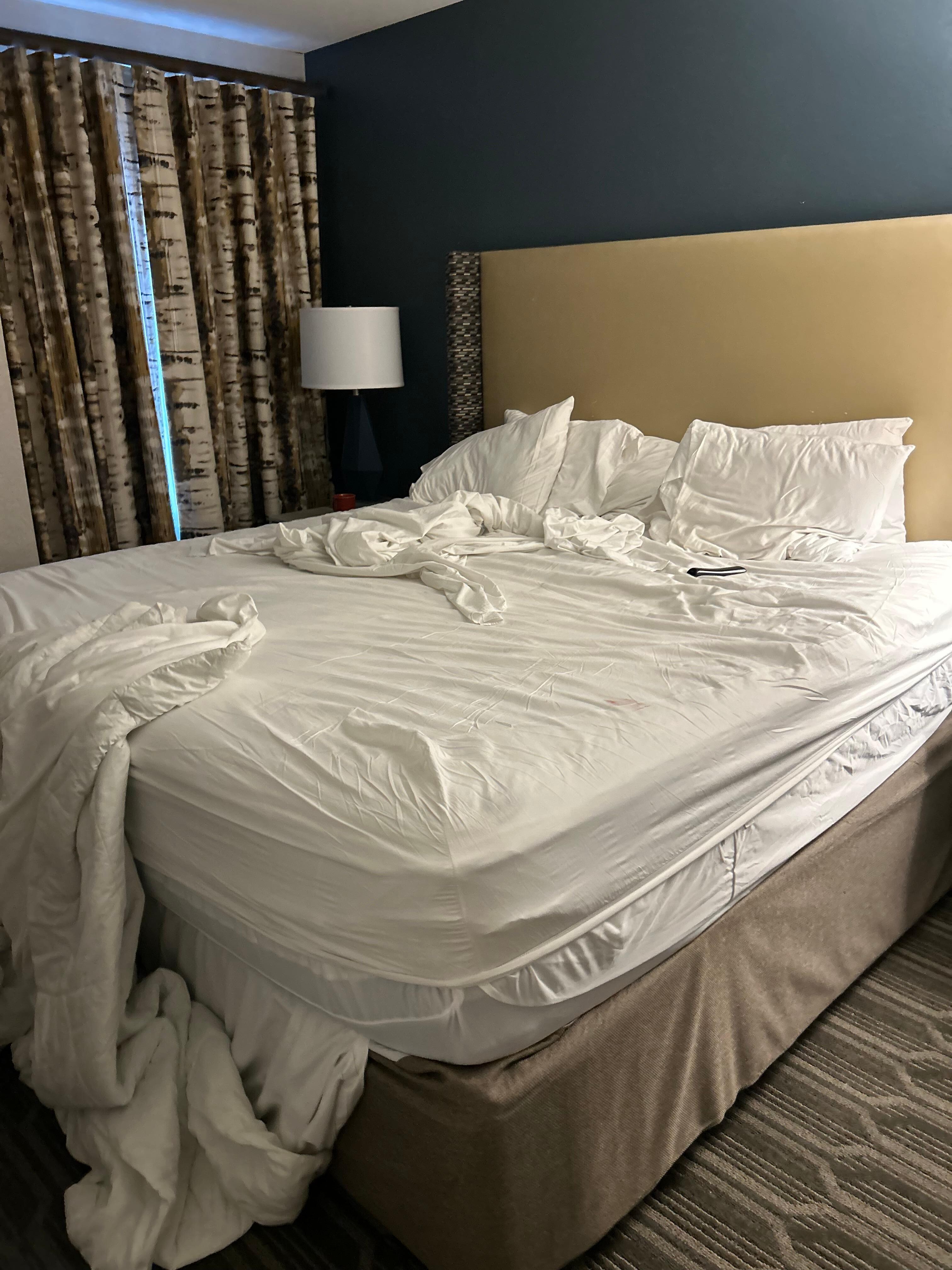 Dirty bed, never cleaned the room