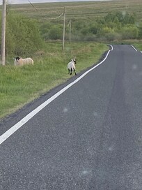Beautiful roads