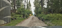 Turkeys walking in the neighborhood