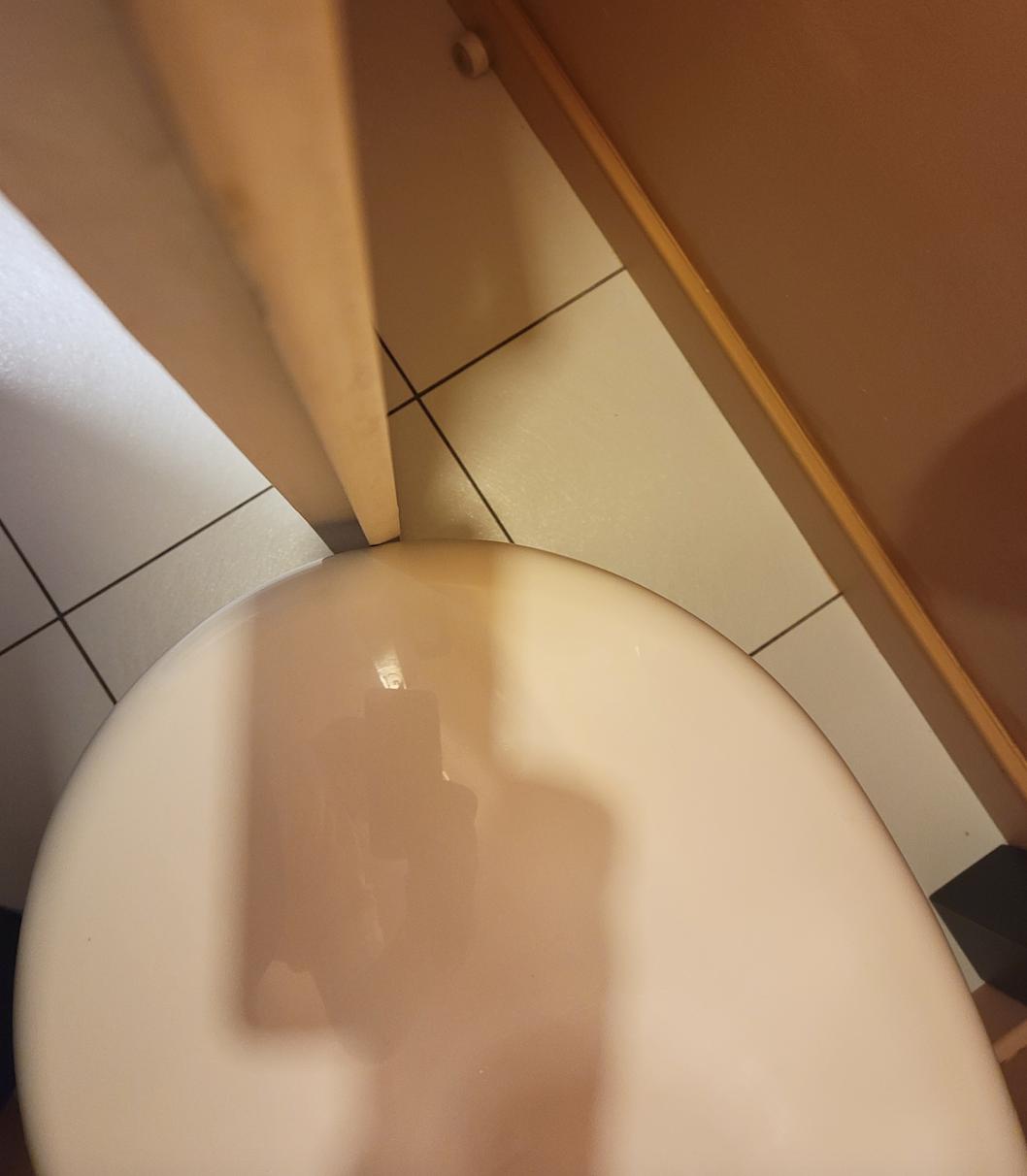 Door running into toilet.