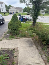 ALL WEEDS