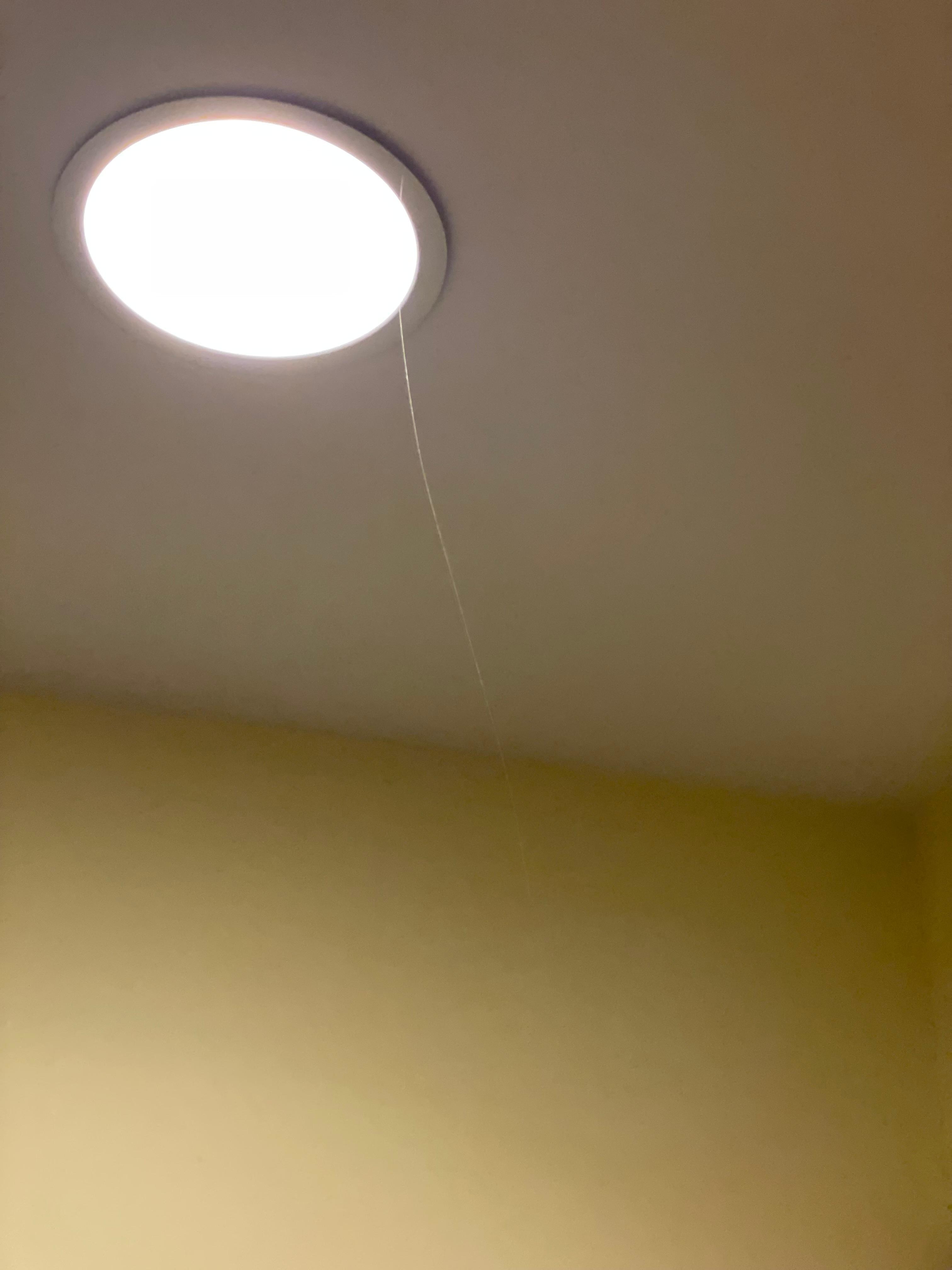 Cobwebs on light fixtures and every corner 
