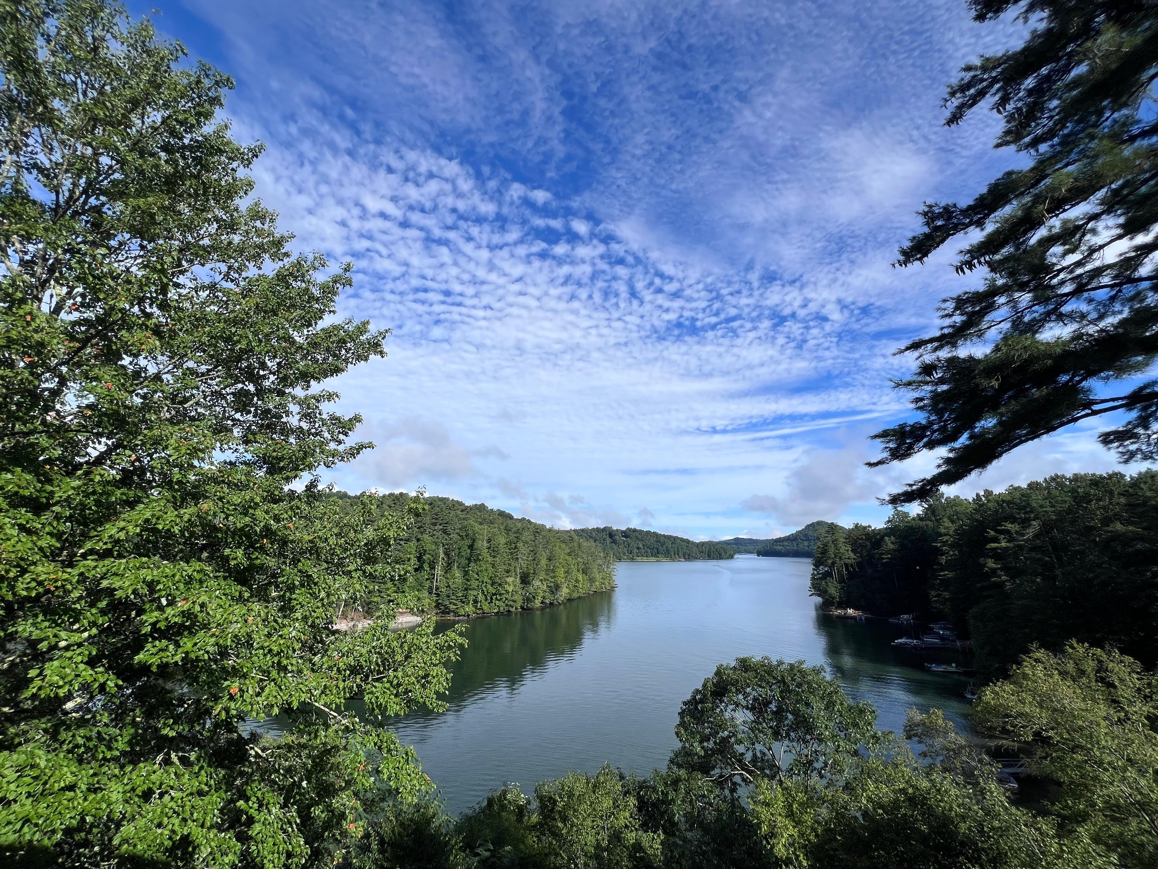 View from the porch!