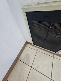 pest, hopefully just spiders but who knows