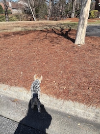 Great area to walk my dog.Felt safe.