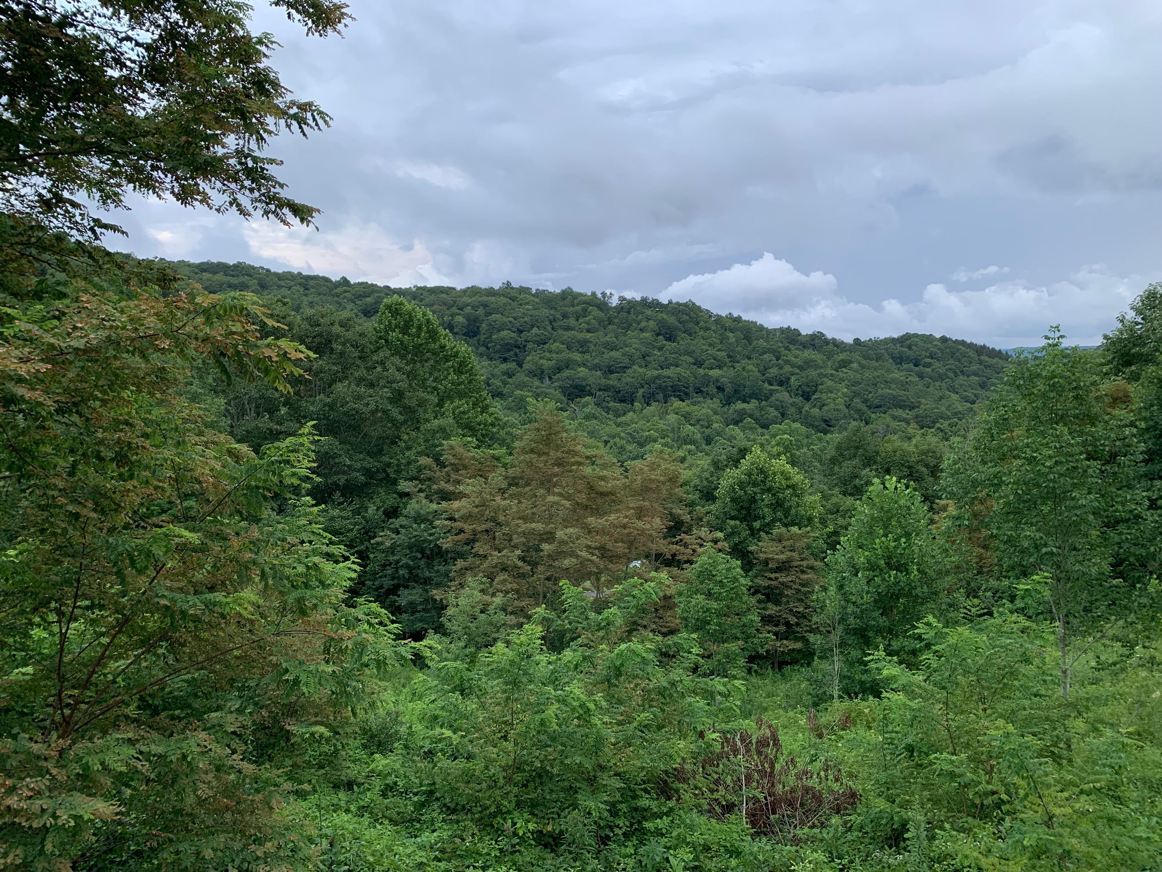 Views from the side deck of house