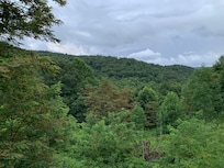 Views from the side deck of house