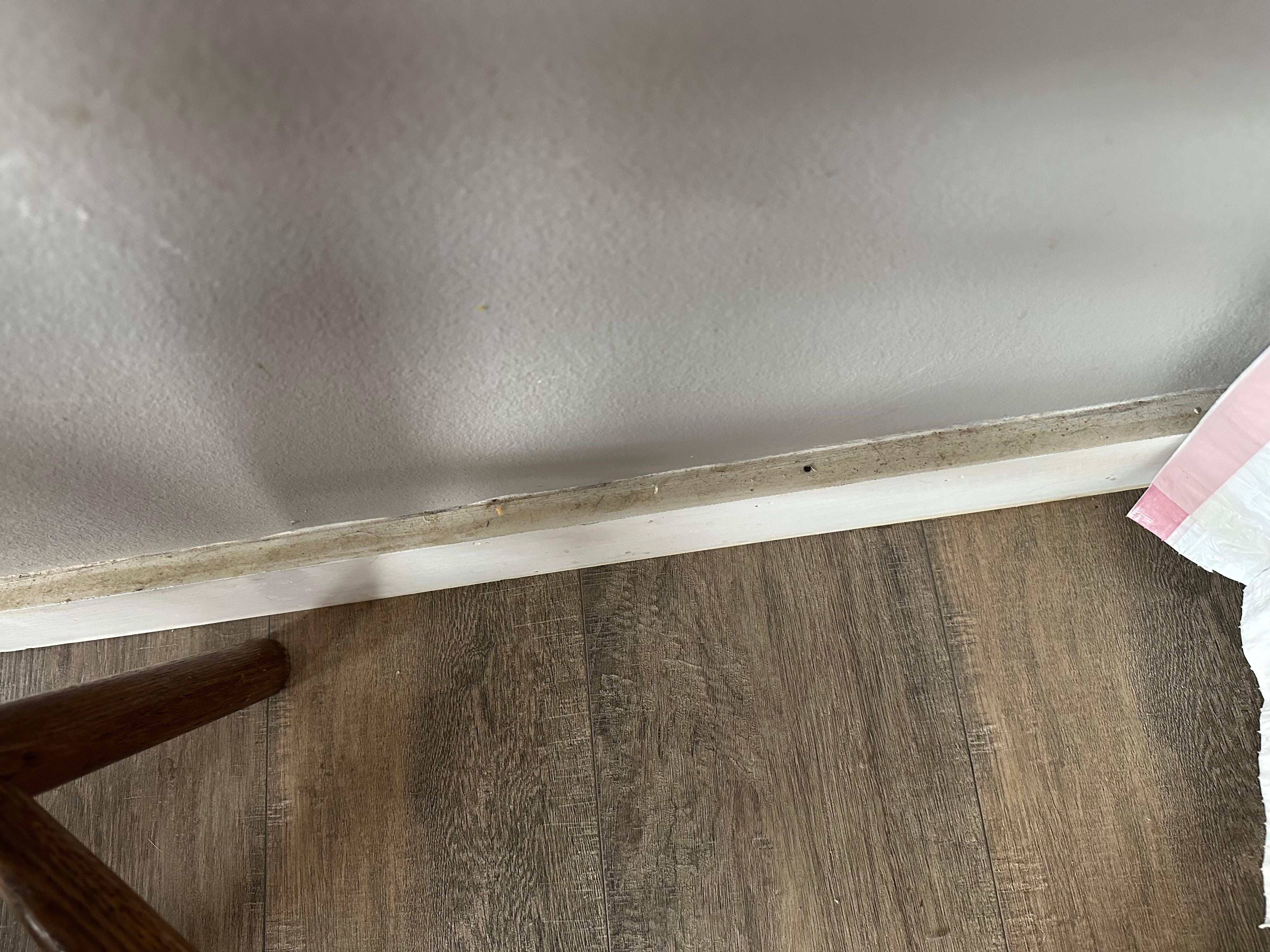 Baseboard kitchen/living room area