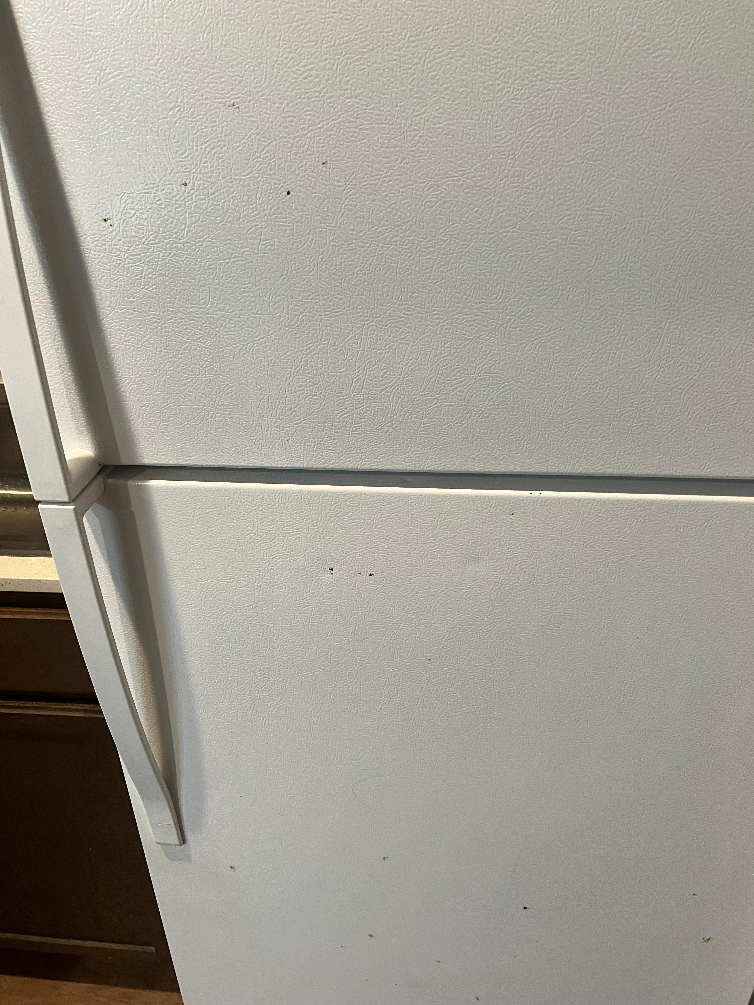 Nasty stains everywhere