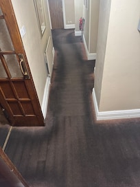 Filthy carpets in the lounge
