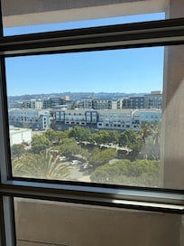 The view
