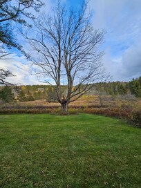 The view coming back from a hike.