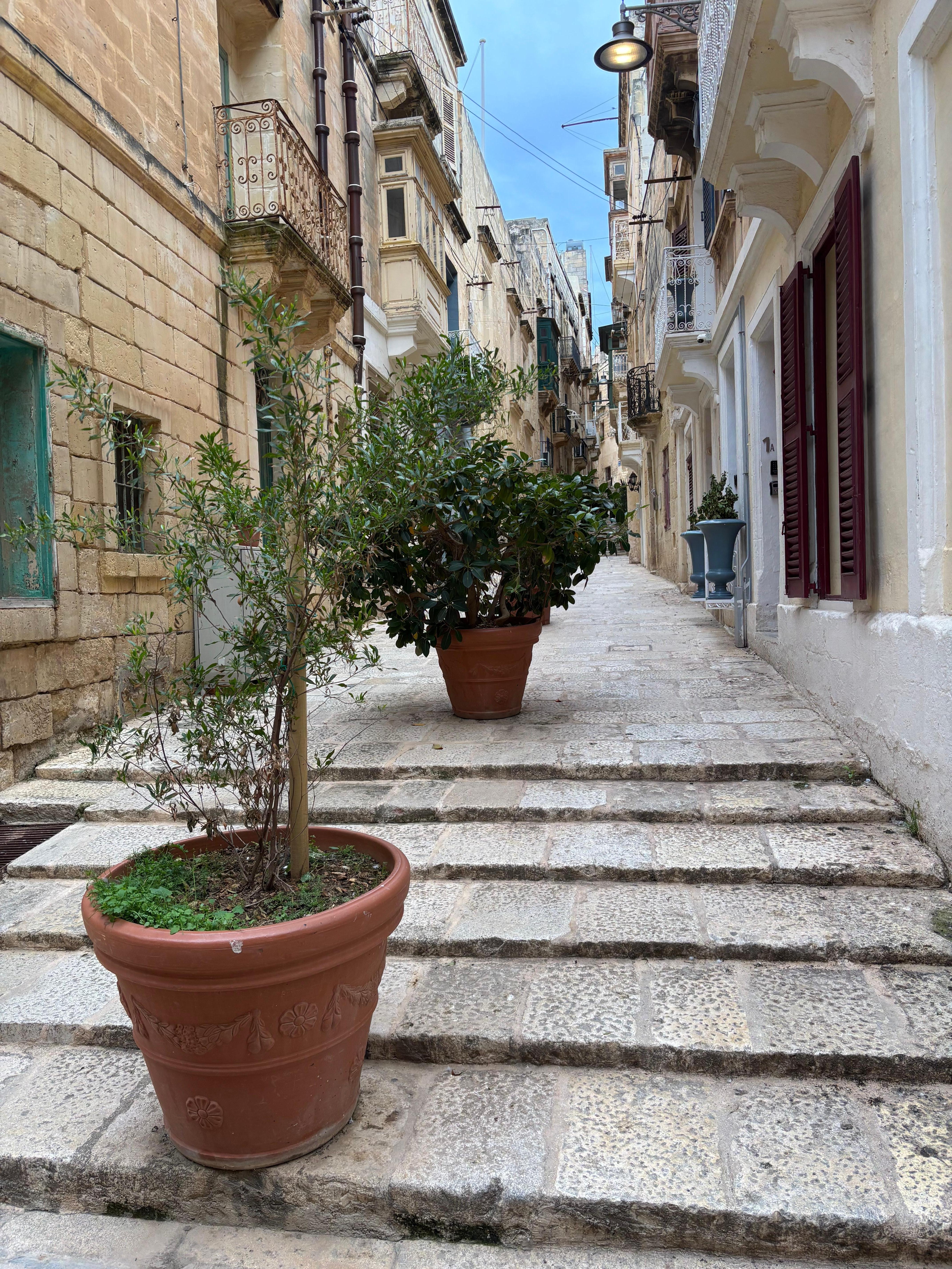 Quiet streets
