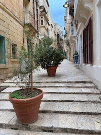 Quiet streets