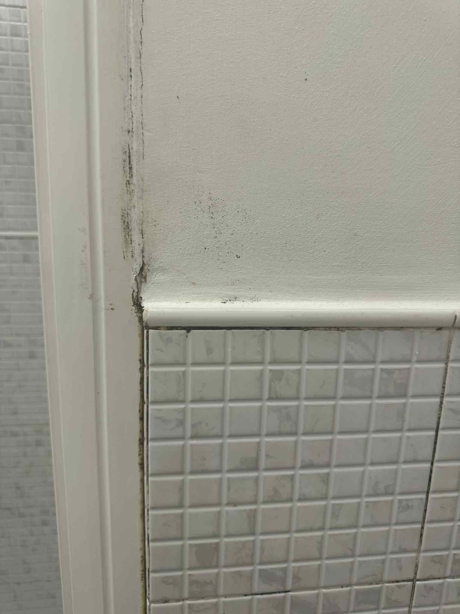 Bathroom Moisture - Mold