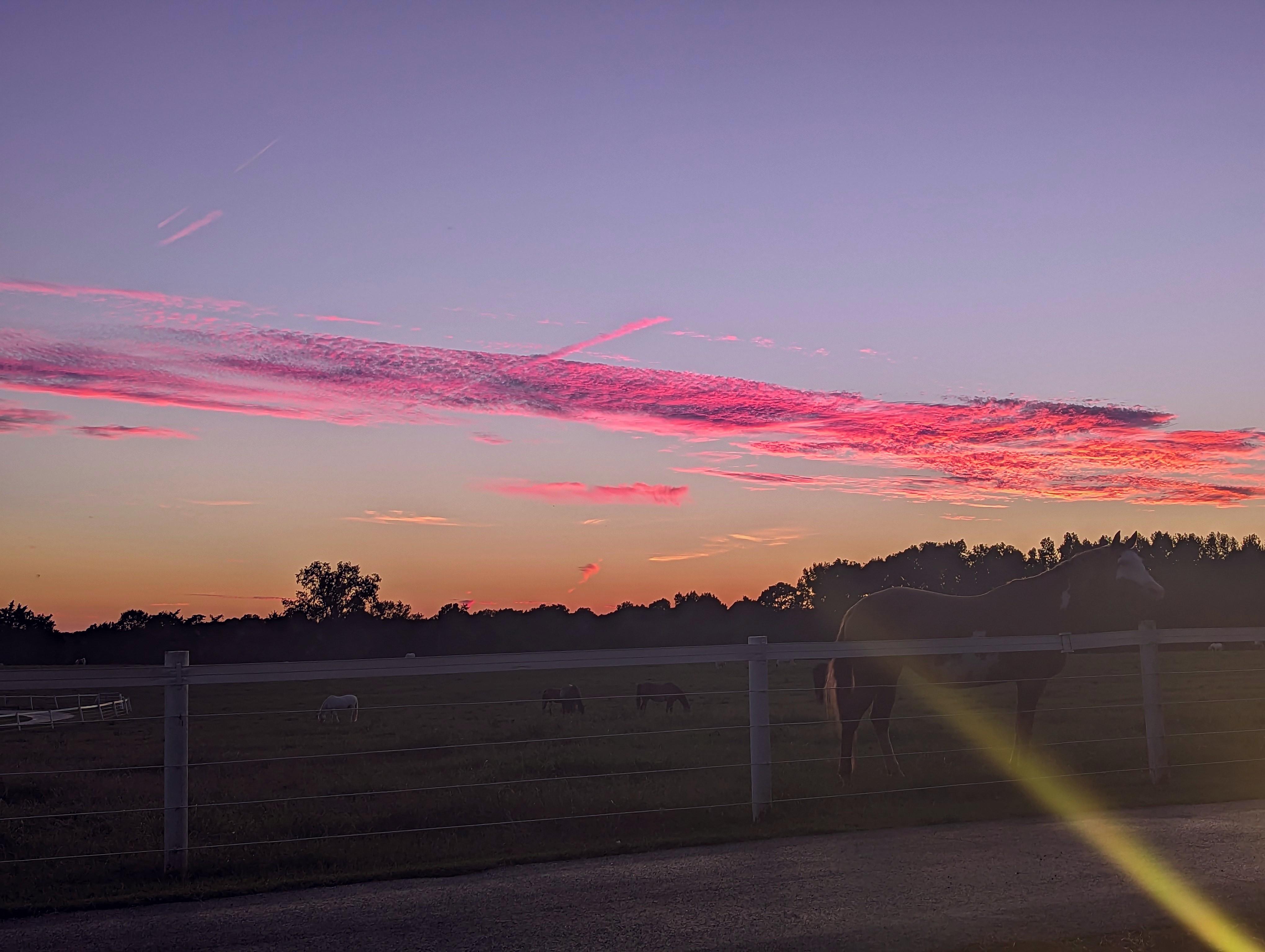 Sunset on the ranch