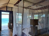 View from the room