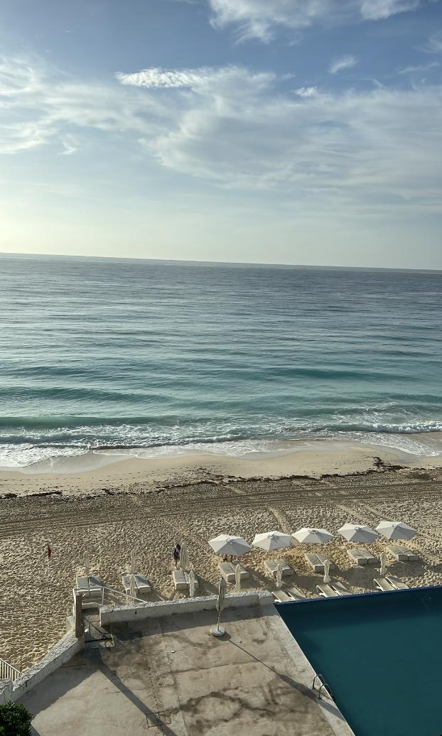 morning view from my room
