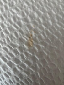 Cheeto stains on bed in room 217