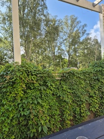 Terrass utanför frukostrestaurang