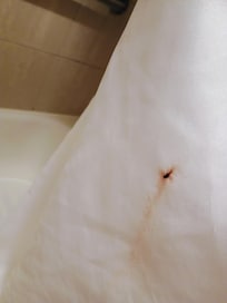 Blood stain on the shower curtain