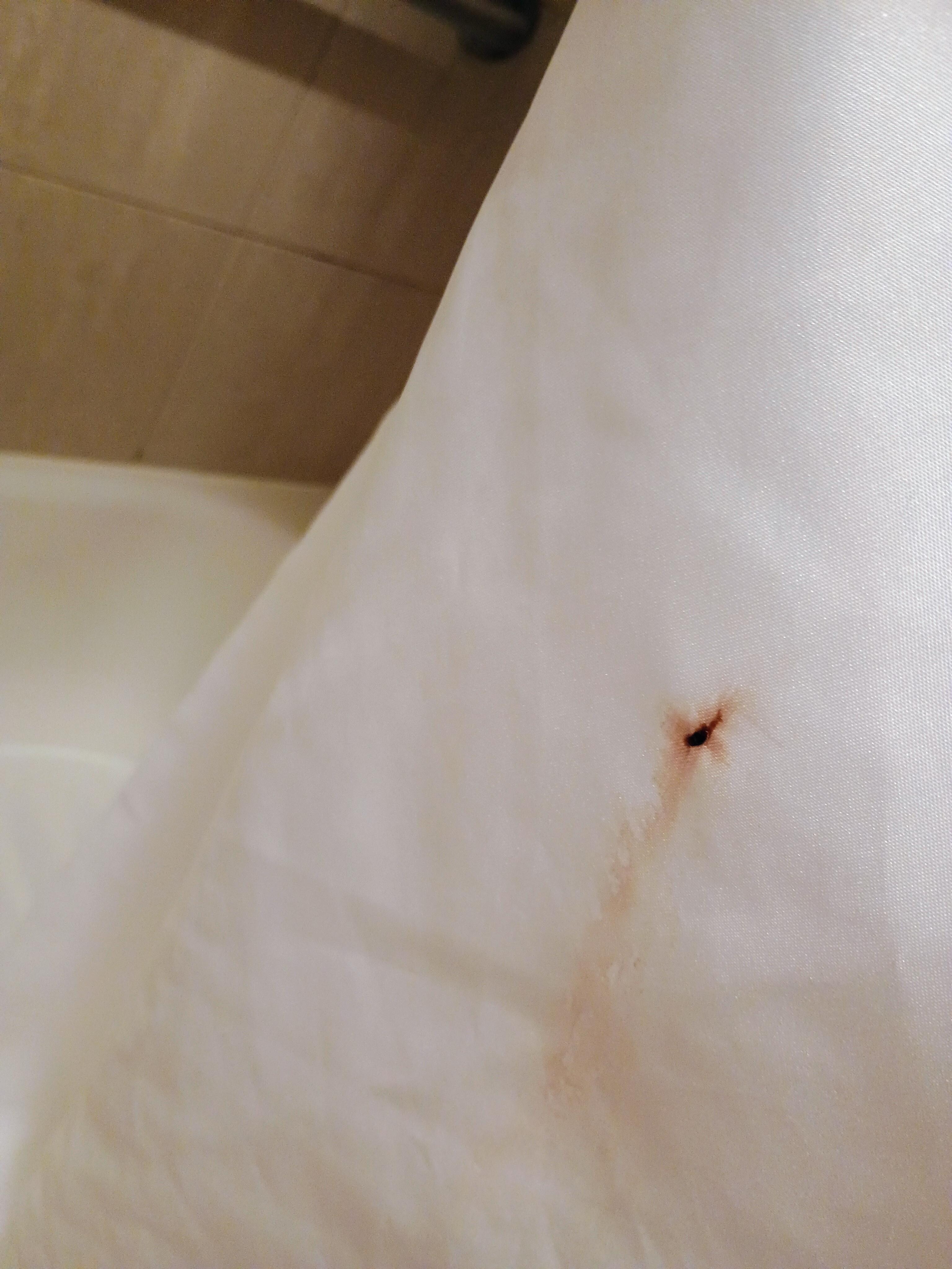 Blood stain on the shower curtain
