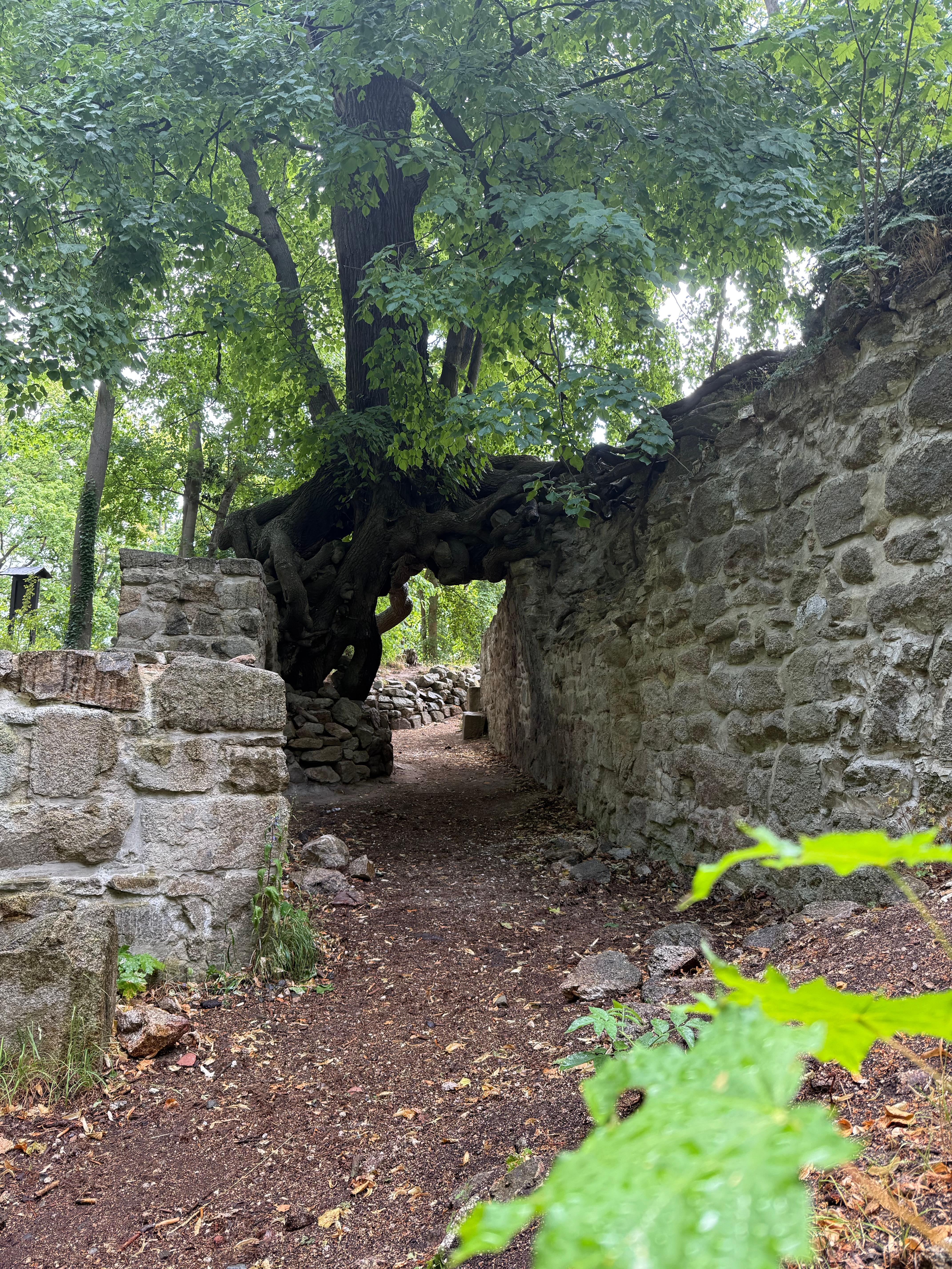 Vandreturen