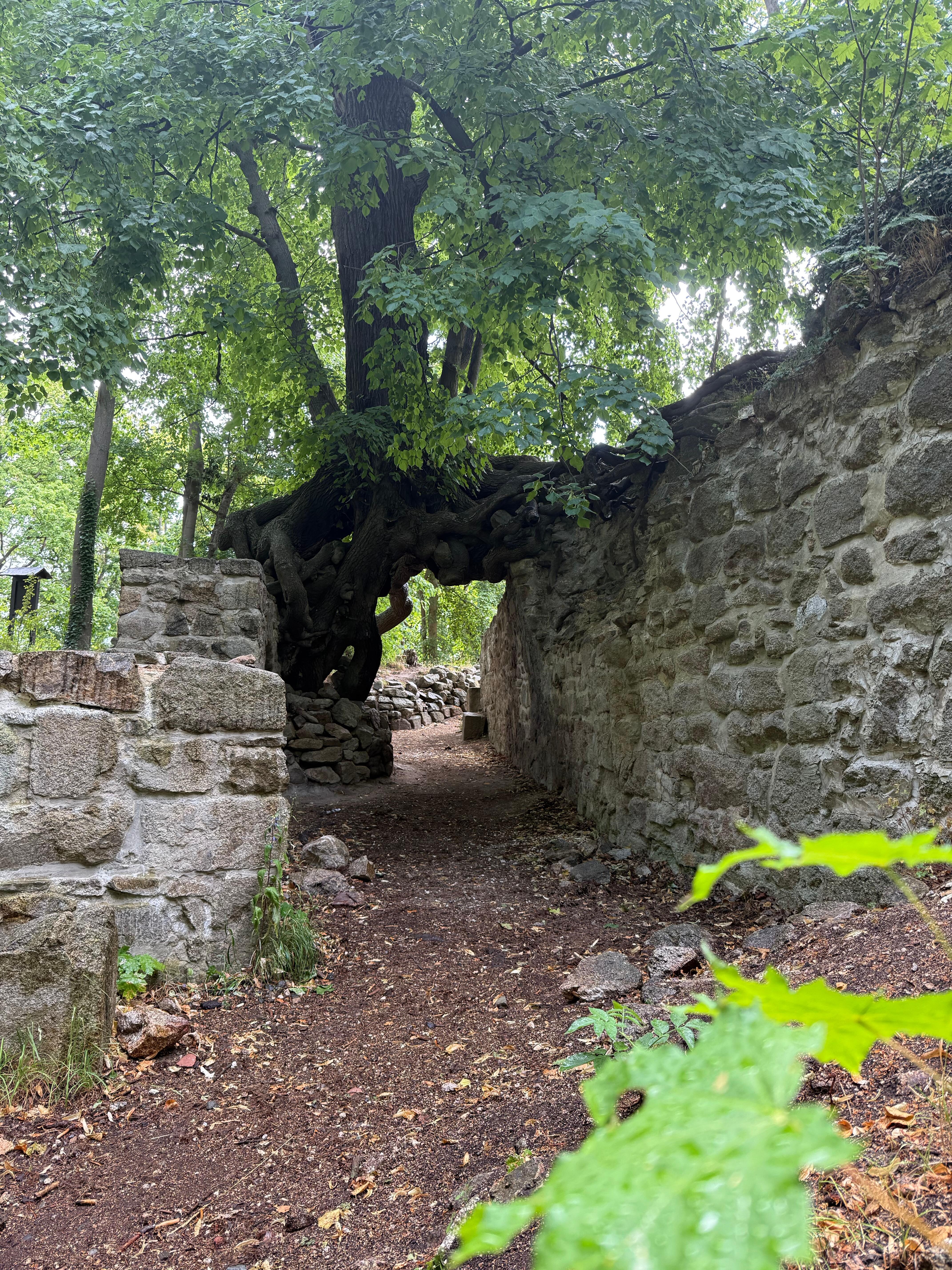 Vandreturen