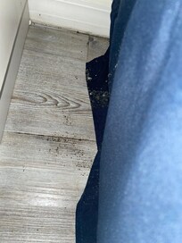 Mold on the floors and bed (which made us sick)