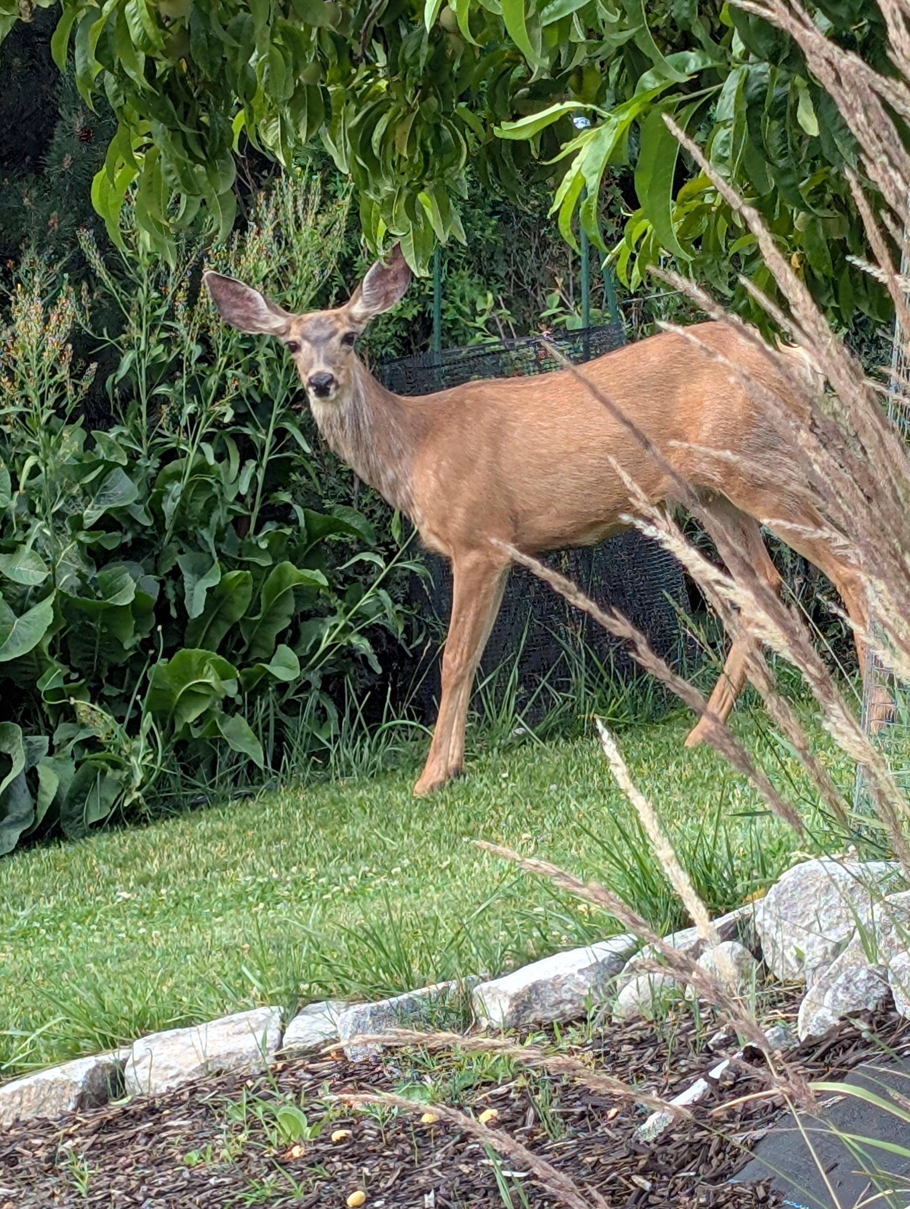 We both enjoyed our water view one morning!
