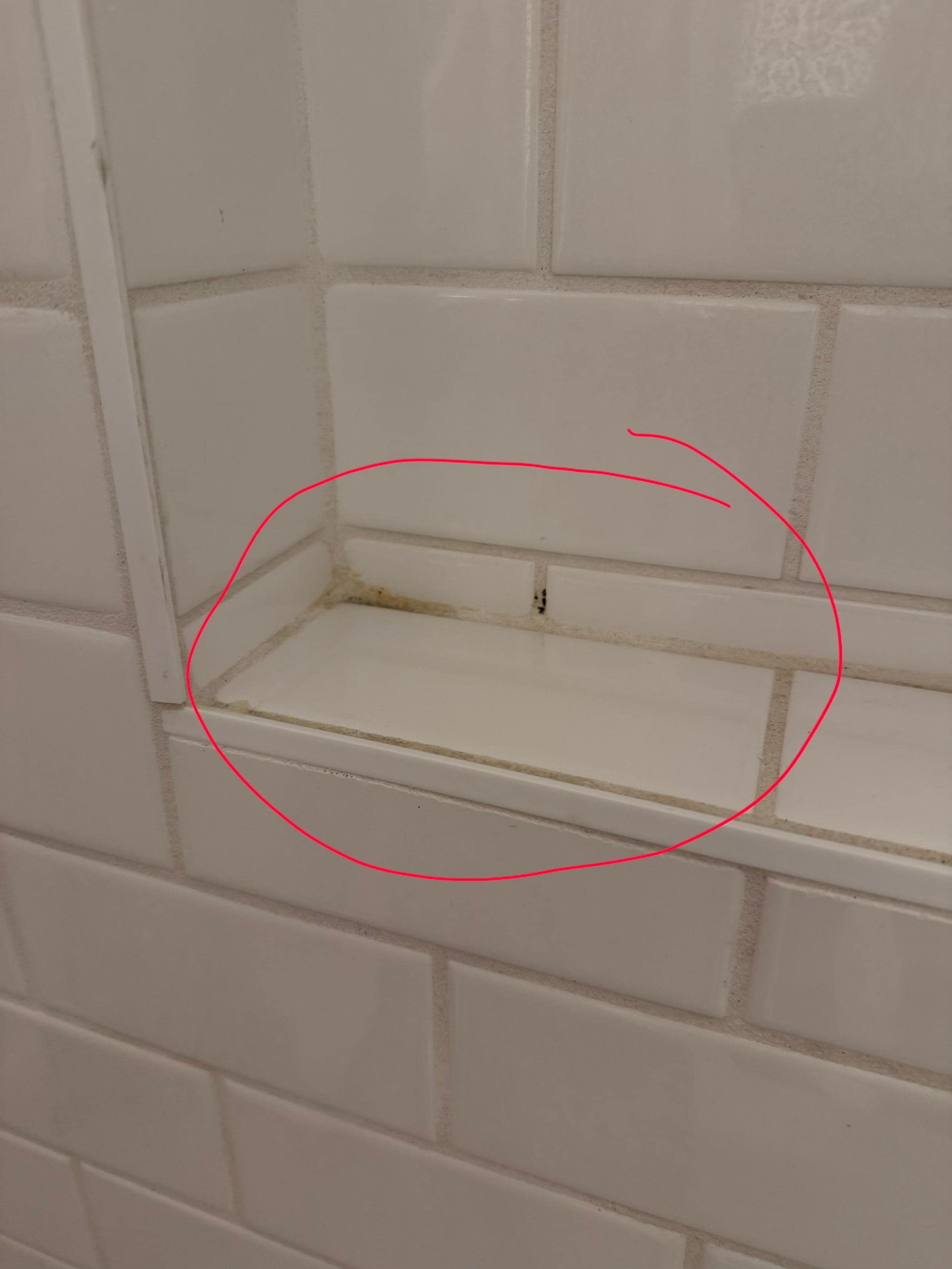 mold/mildew in shower