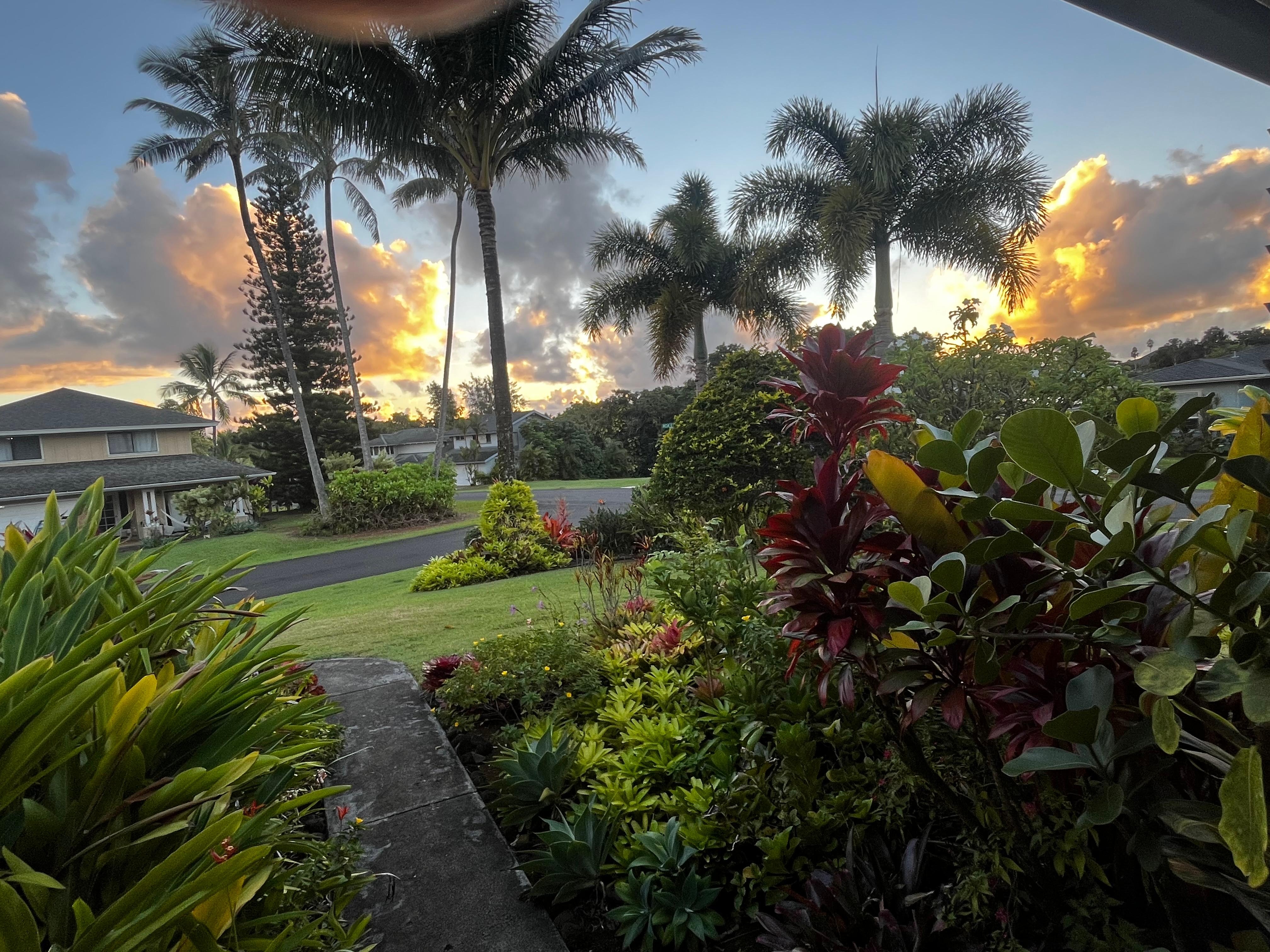 Where we would sit every morning enjoying our Kauai coffee.