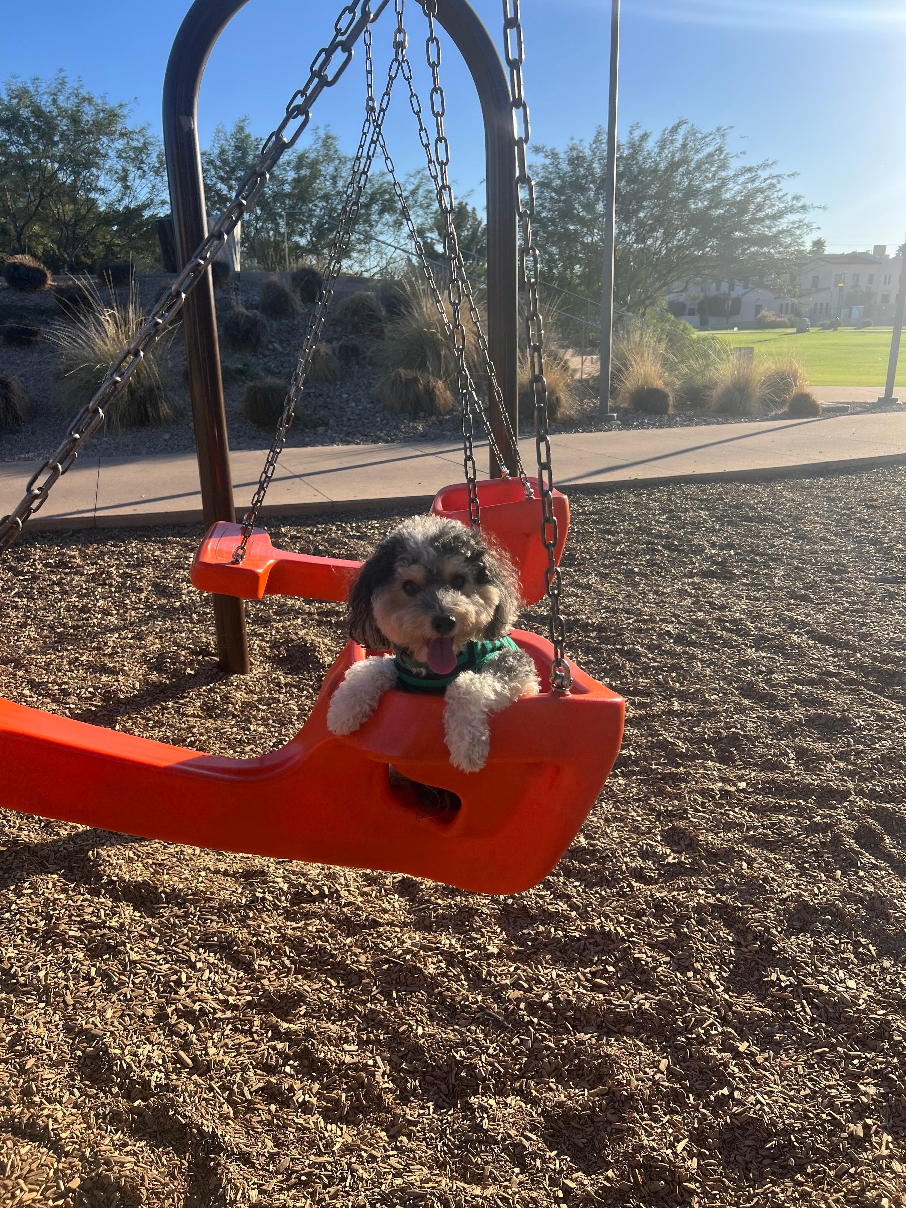 Benjamin at park across the street 