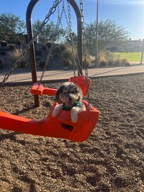 Benjamin at park across the street