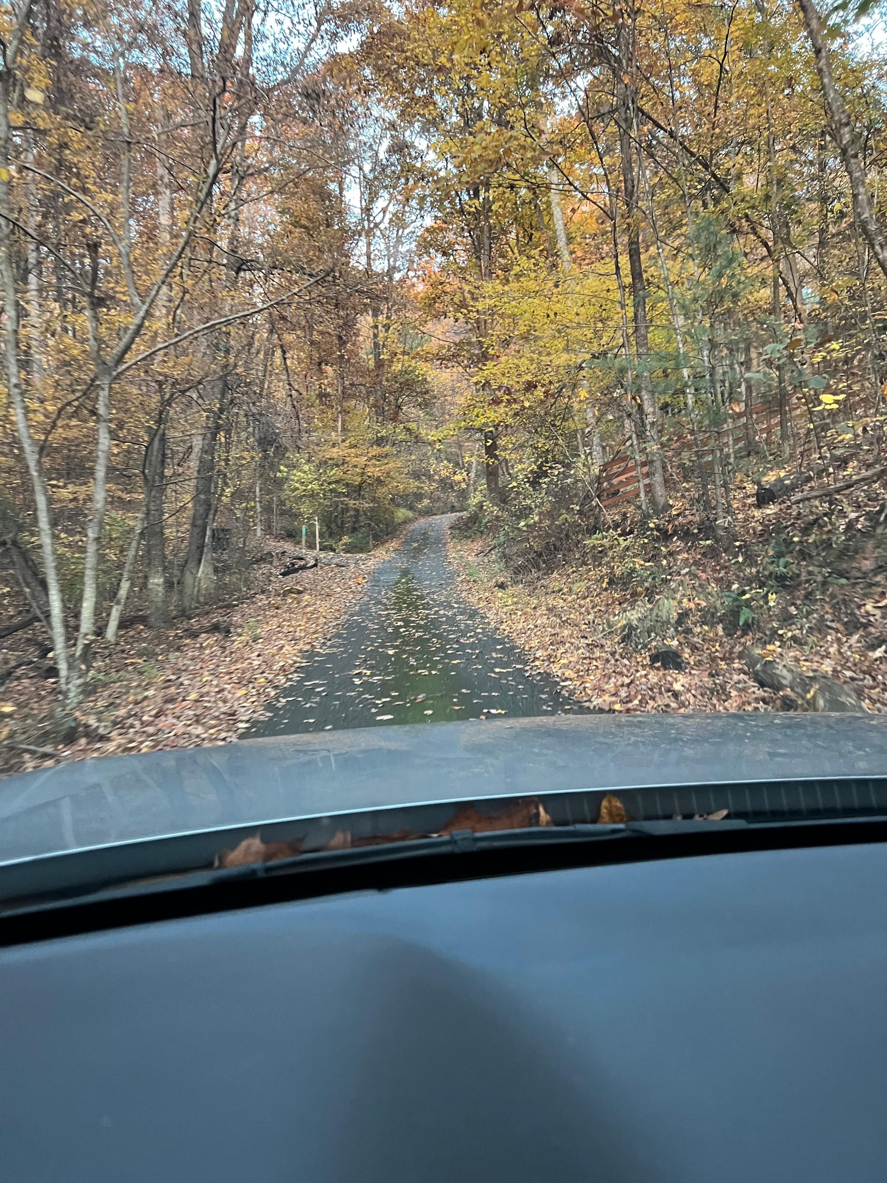 We arrived after dark so adding this picture for clarity of where you need to turn. 