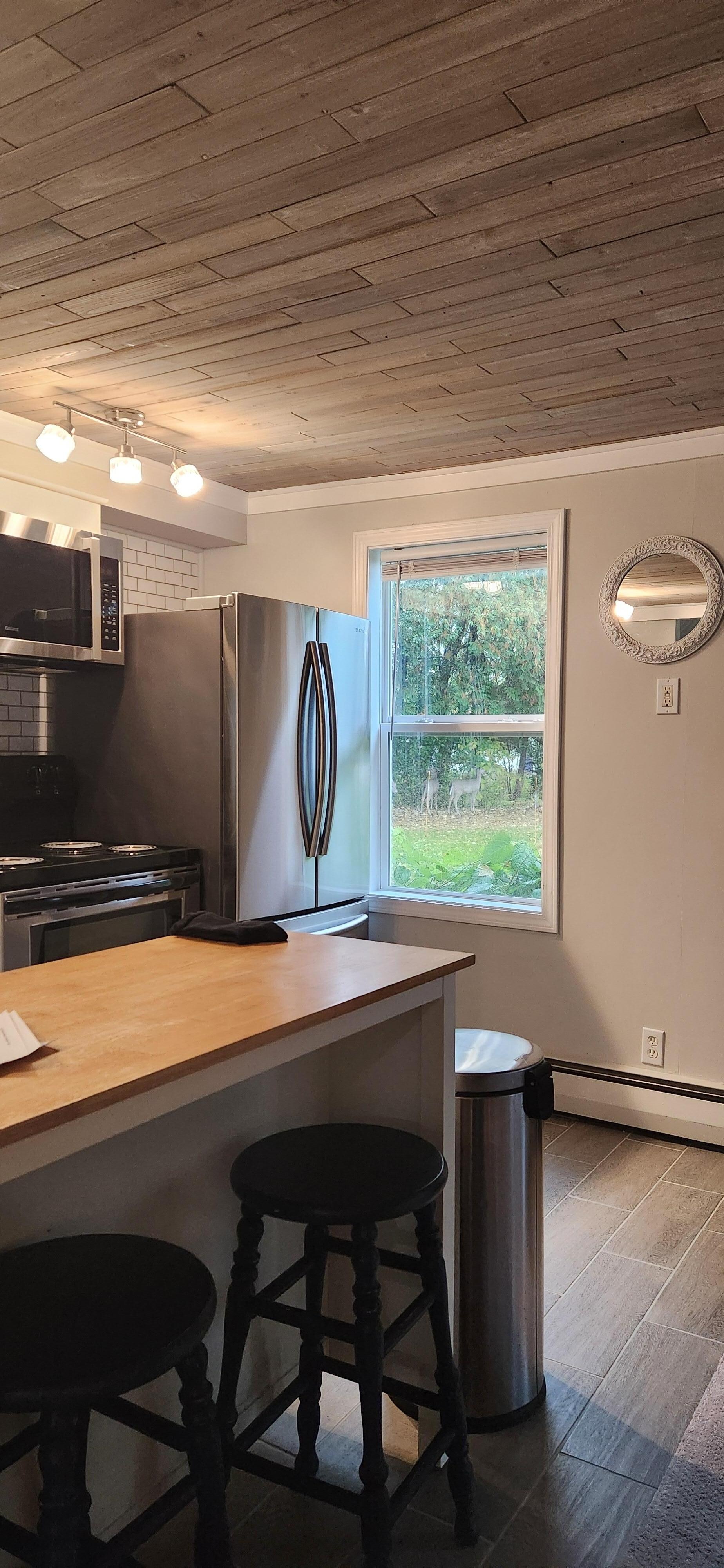 Friendly deer visitors.