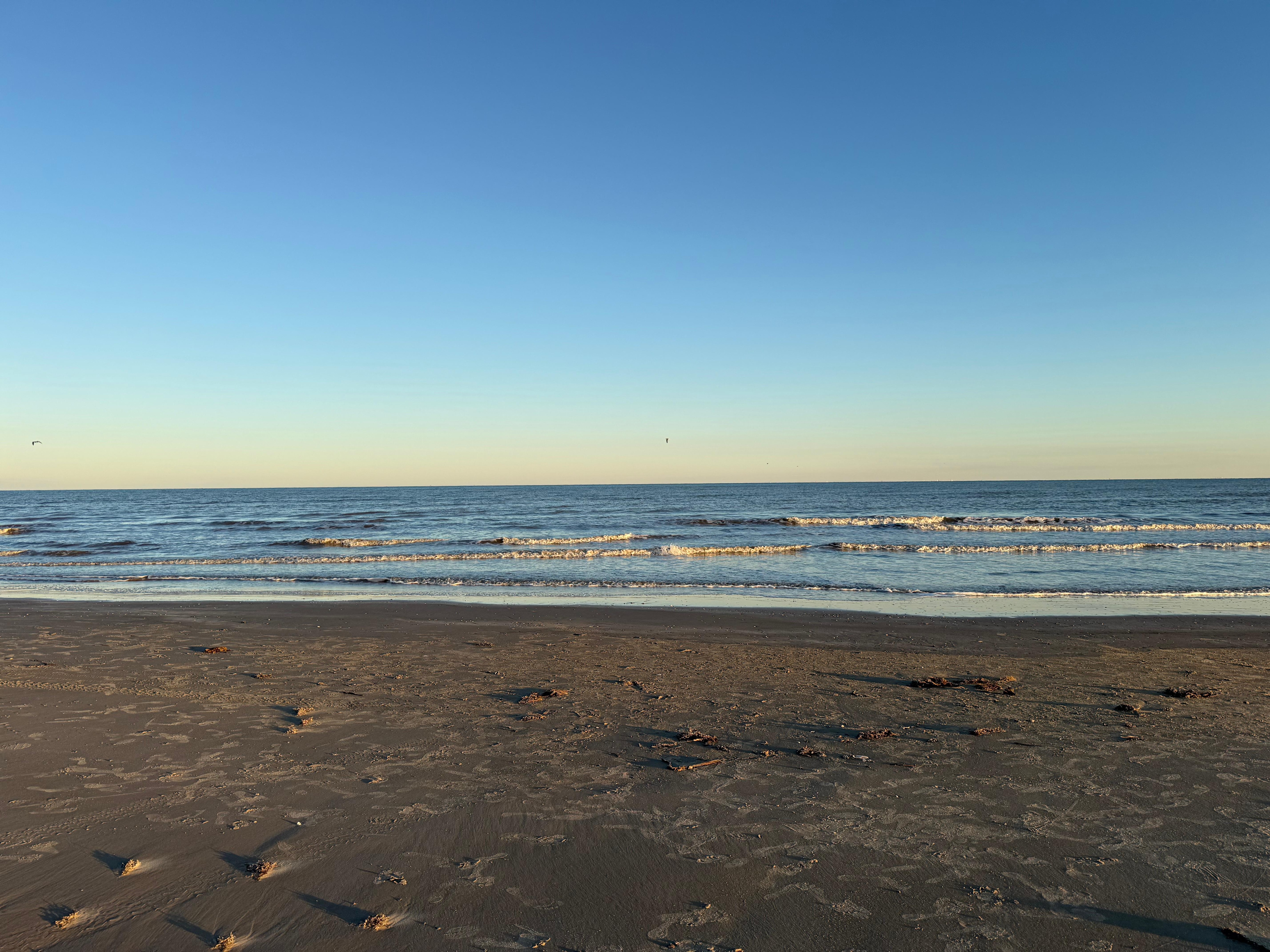 Enjoying the peaceful waves