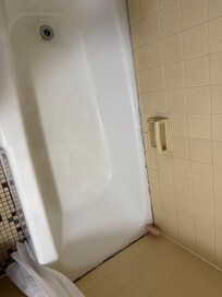 Mildew or mold