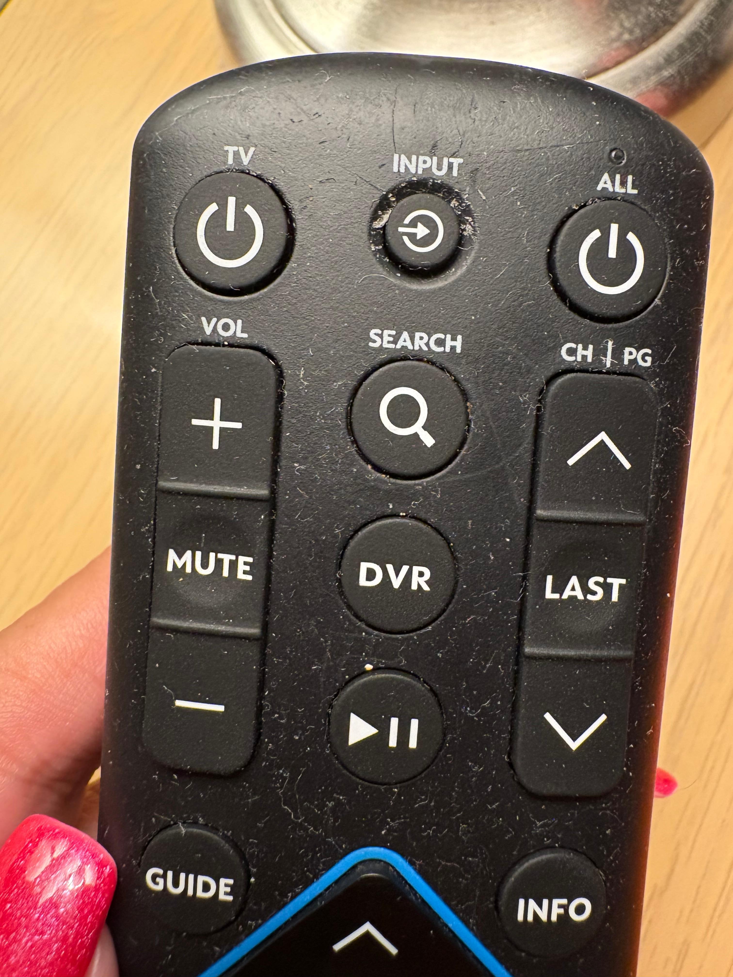 Disgusting remote 