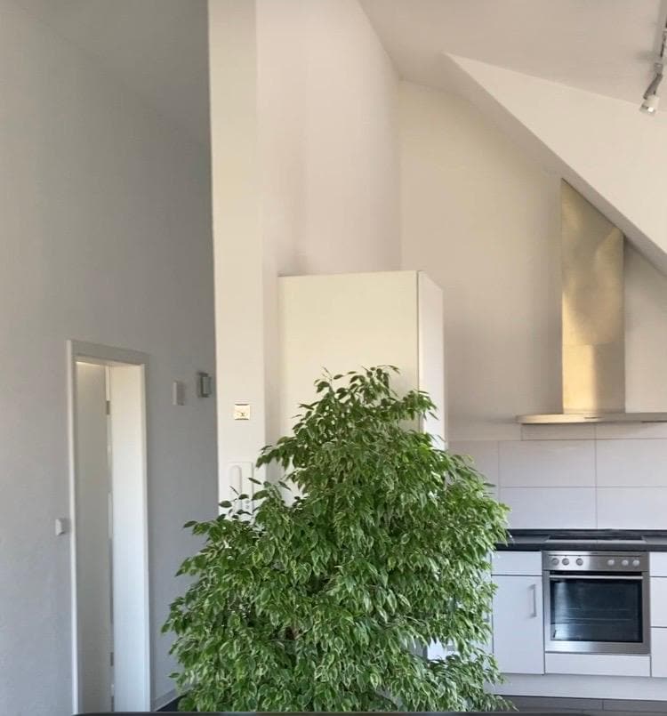 Blick auf Küche und Flur (aus dem Wohnzimmer)