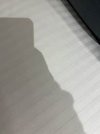 Hairs found in the bed