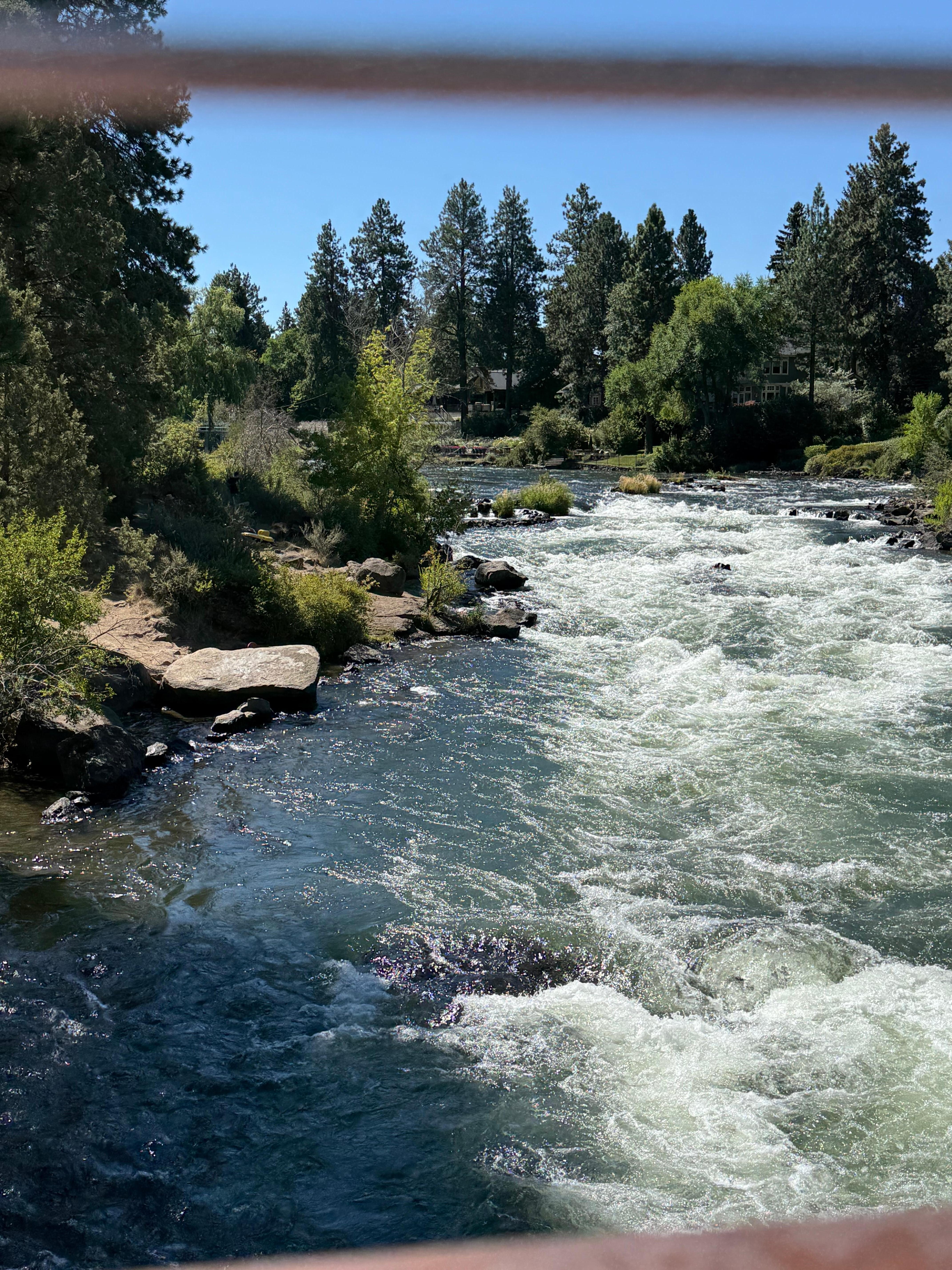 View from path at bottom of property