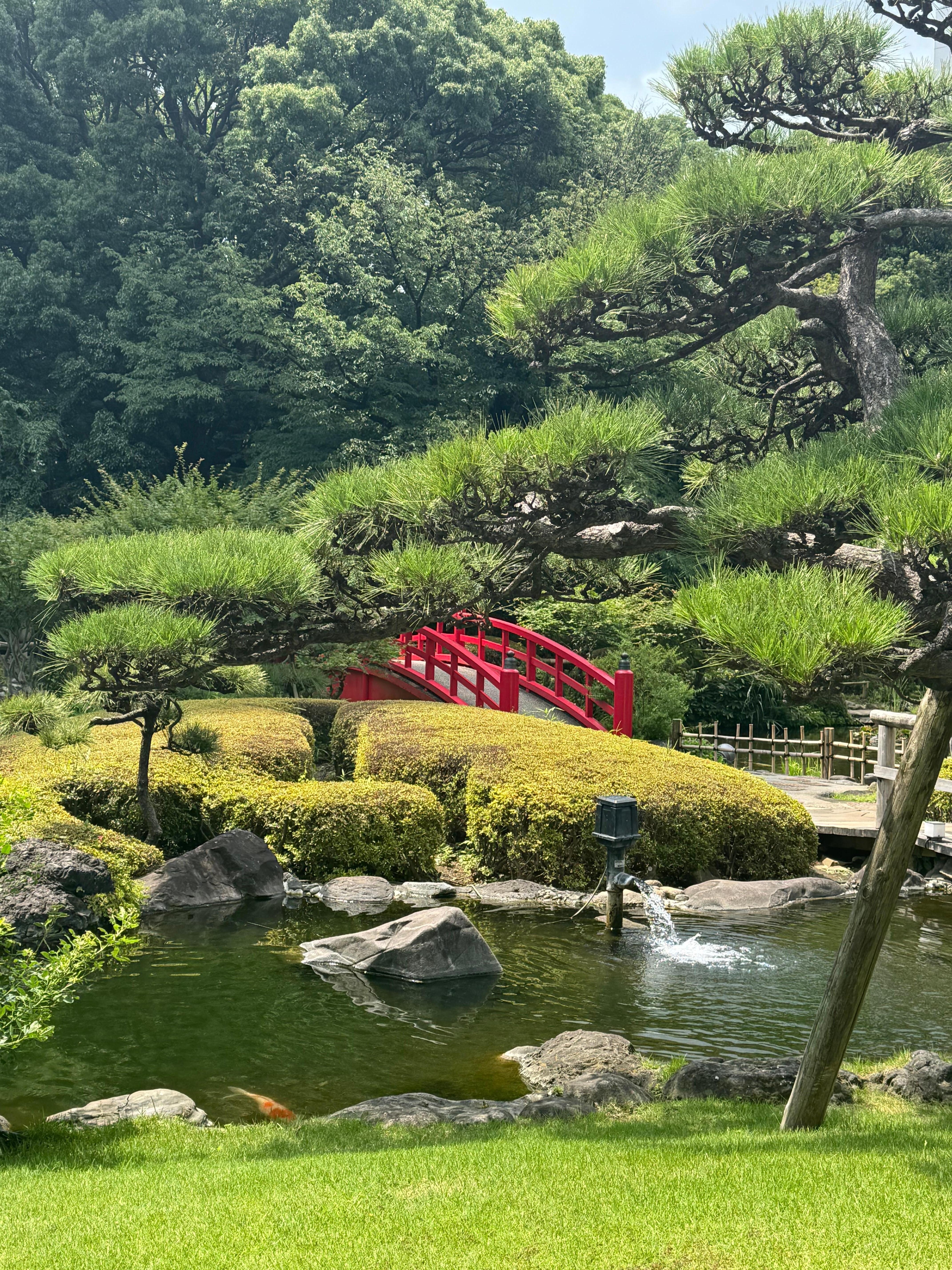 Japanese garden of the hotel 