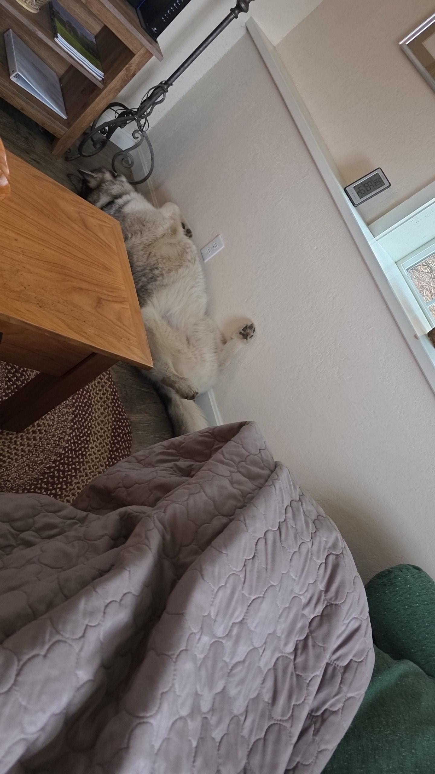 Could not be more relaxed 