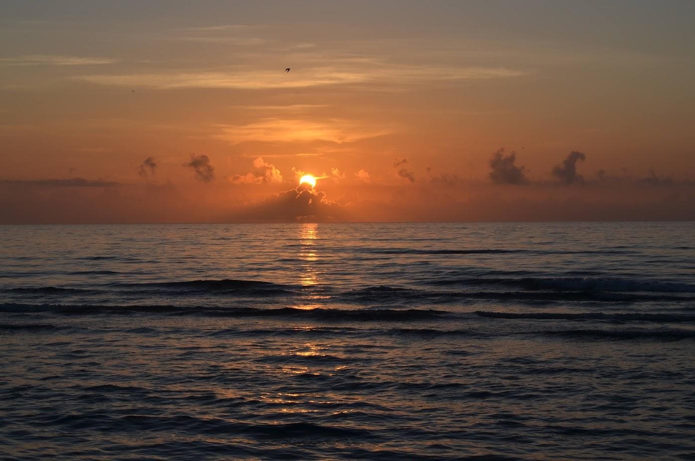 From the Beach at La Copa...
Awesome Sunrise