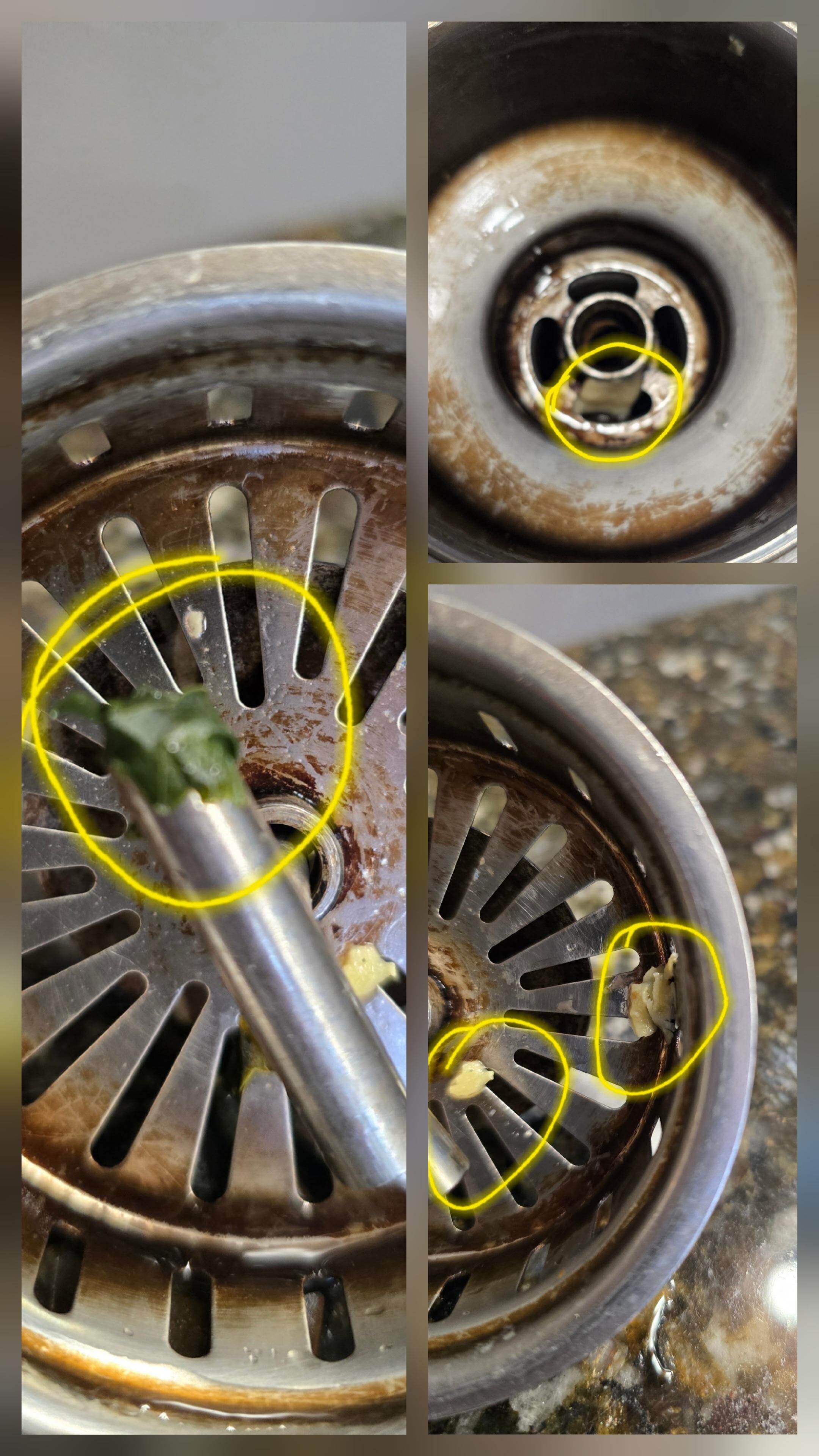 This is what the sink drain looked like when we first got to the house. There is food stuck to the stopper and a piece of pasta stuck in the drain itself.