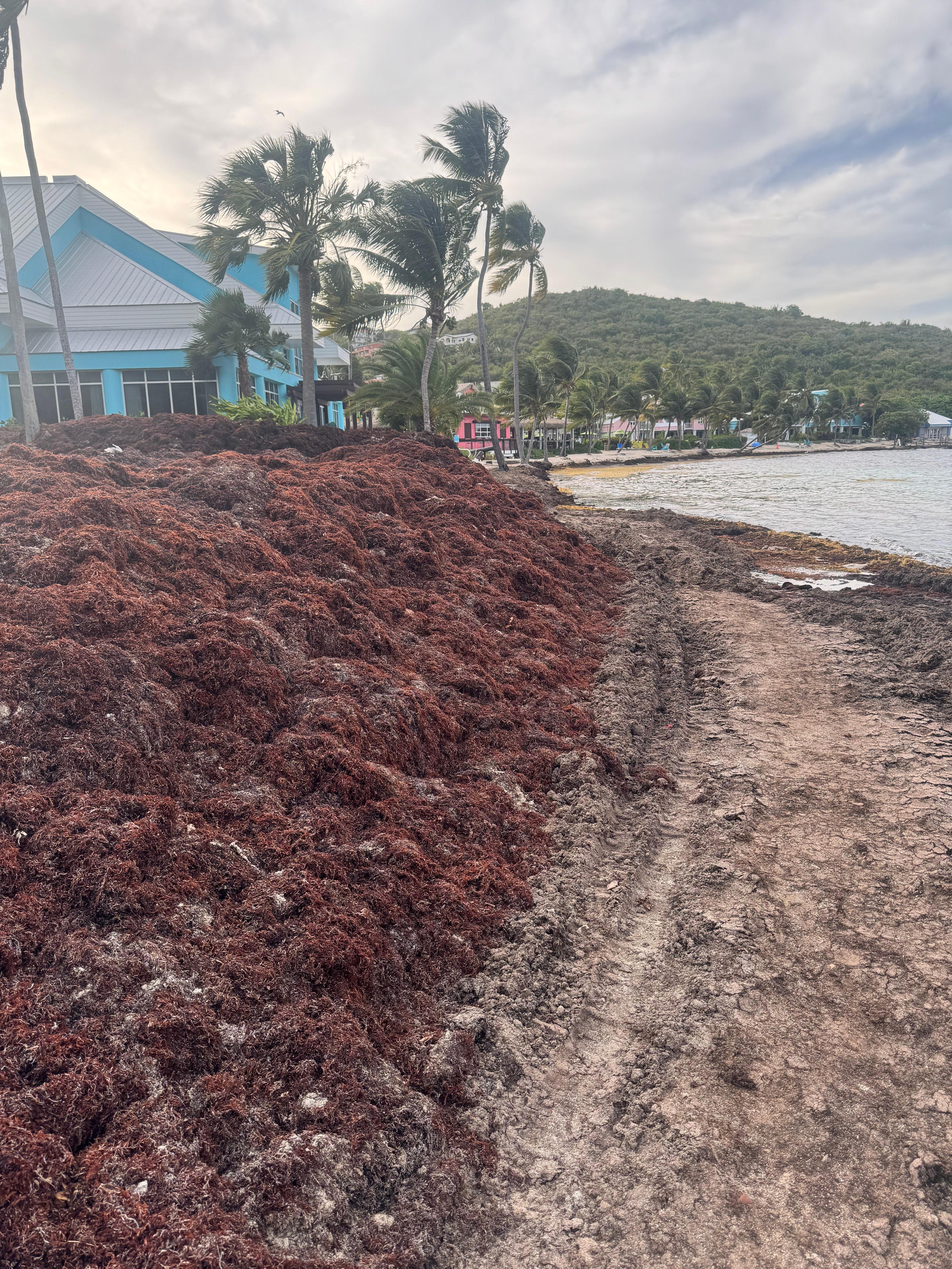 The seaweed on the beach. Not entirely the resortās fault but they did not respond to any messages regarding this or offer any sort of solution/money back for the inconvenience.
