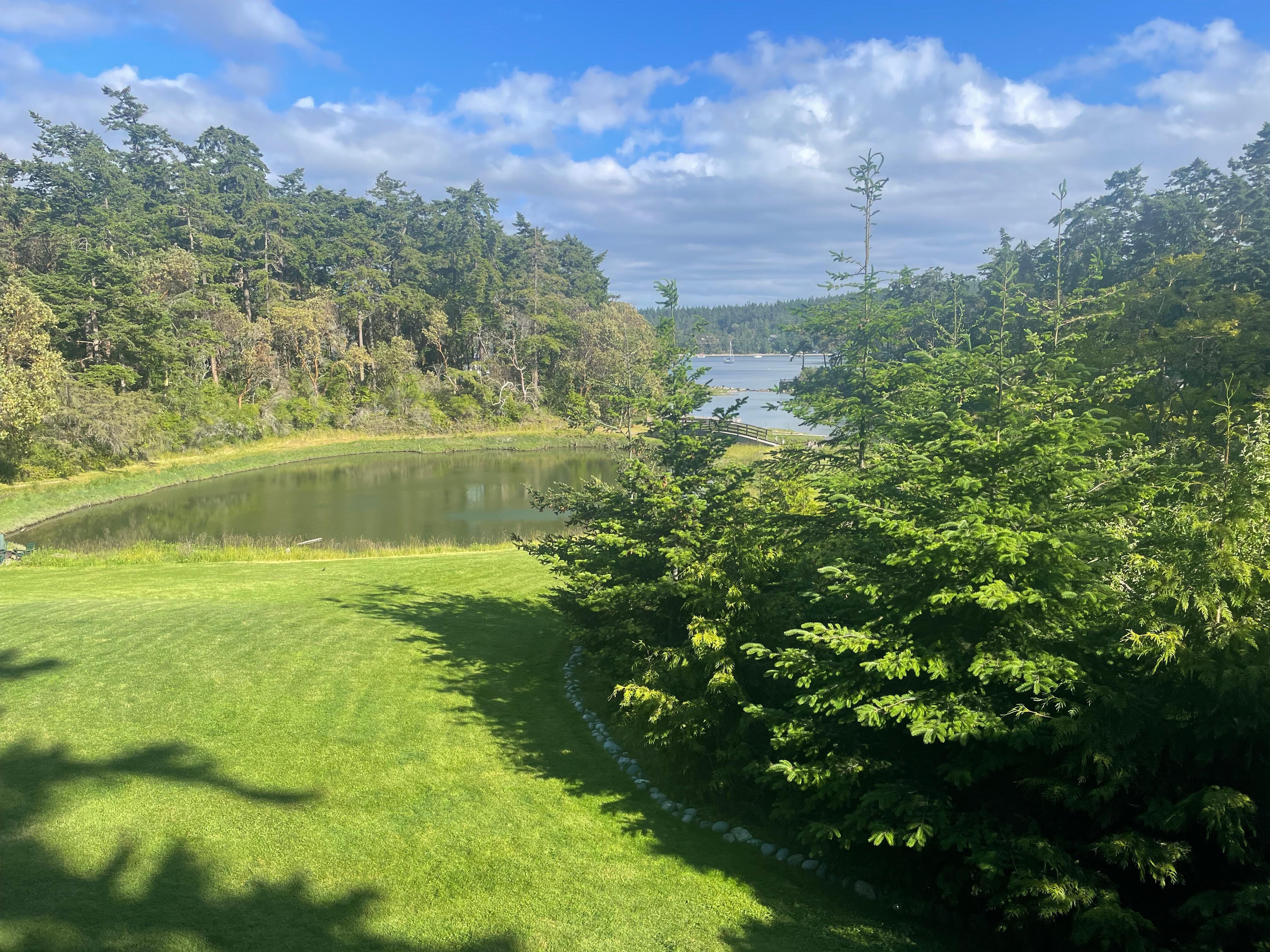 Room view
