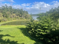 Room view