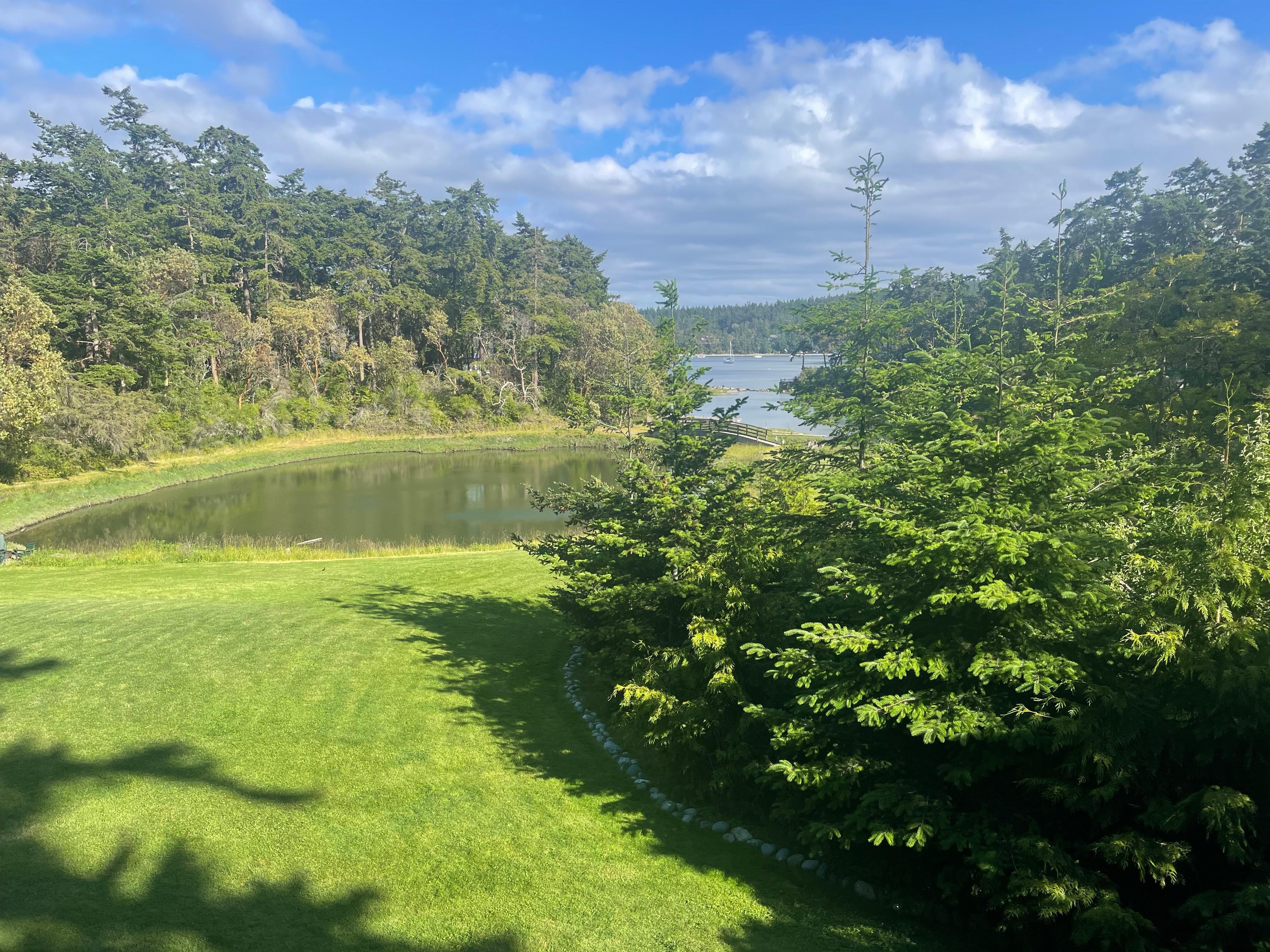 Room view